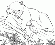 Printable free printable animal s panda3cd3 coloring pages