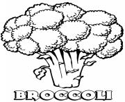 vegetable broccoli