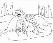 Printable frog animal simple coloring pages