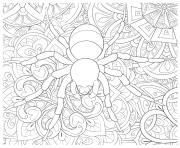 Printable halloween spider intricate pattern coloring pages