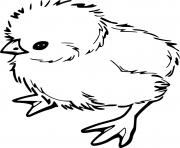 Printable Furry Realistic Chick coloring pages