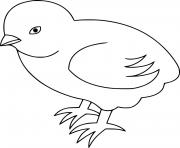 Printable Very Easy Chick coloring pages