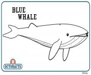 Printable blue whale coloring pages