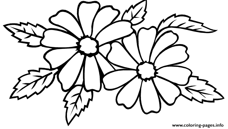 Jasmine Flower Sf27a Coloring Pages Printable