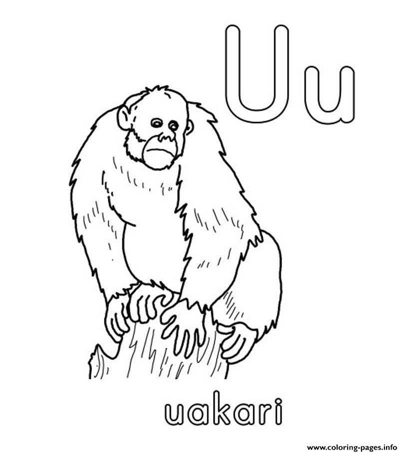 uakari coloring pages - photo #5
