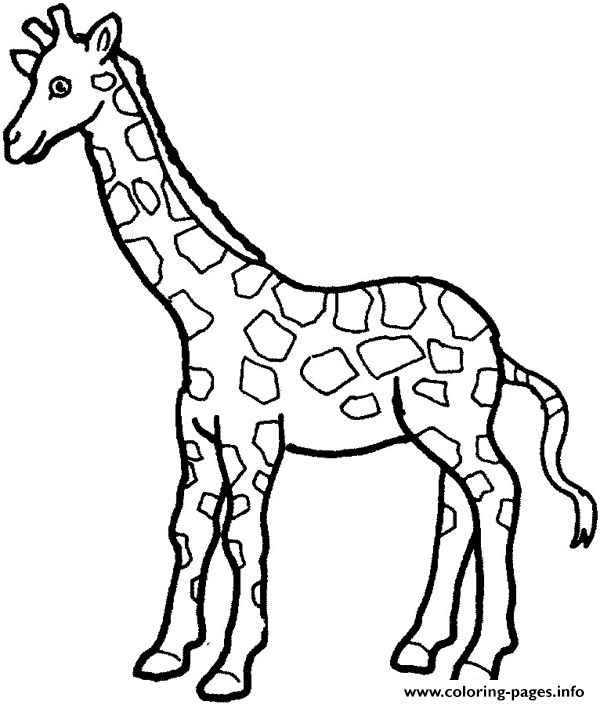 Giraffe Preschool S Zoo Animals14cd Coloring Pages Printable