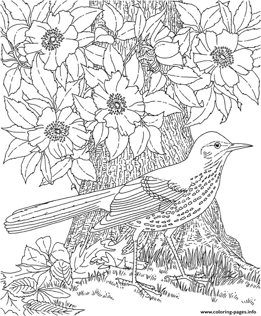 Cool Colouring For Adult 2016 Coloring Pages Printable