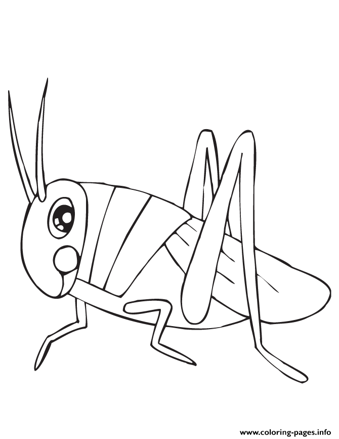Cute Grasshopper Coloring Pages Printable