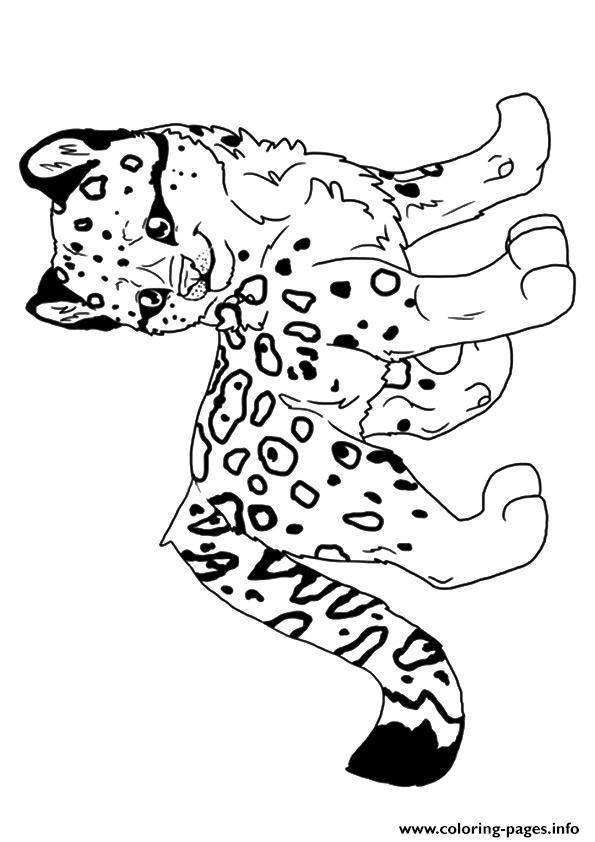 Leopard Hunter A4 Coloring Pages Printable