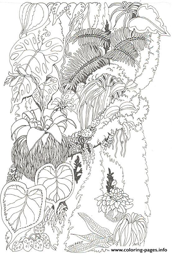 jan brett coloring pages for the umbrella - photo #9
