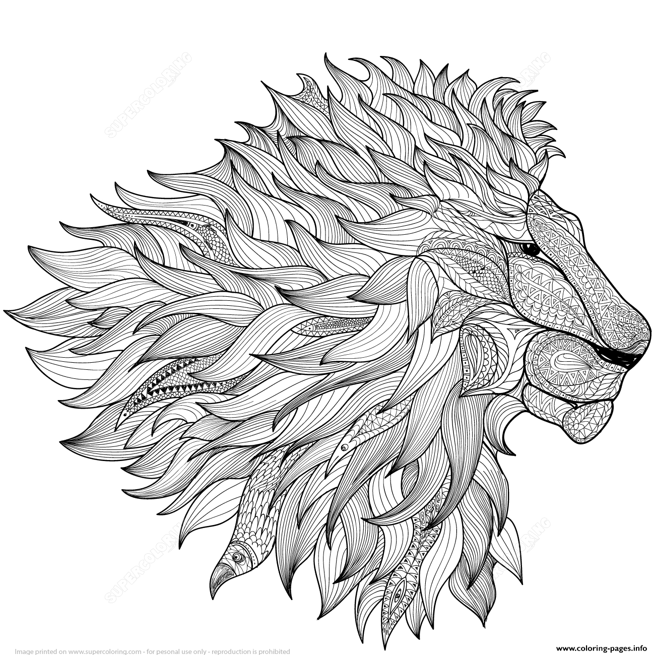 Lion Zentangle Adults Coloring Pages Printable