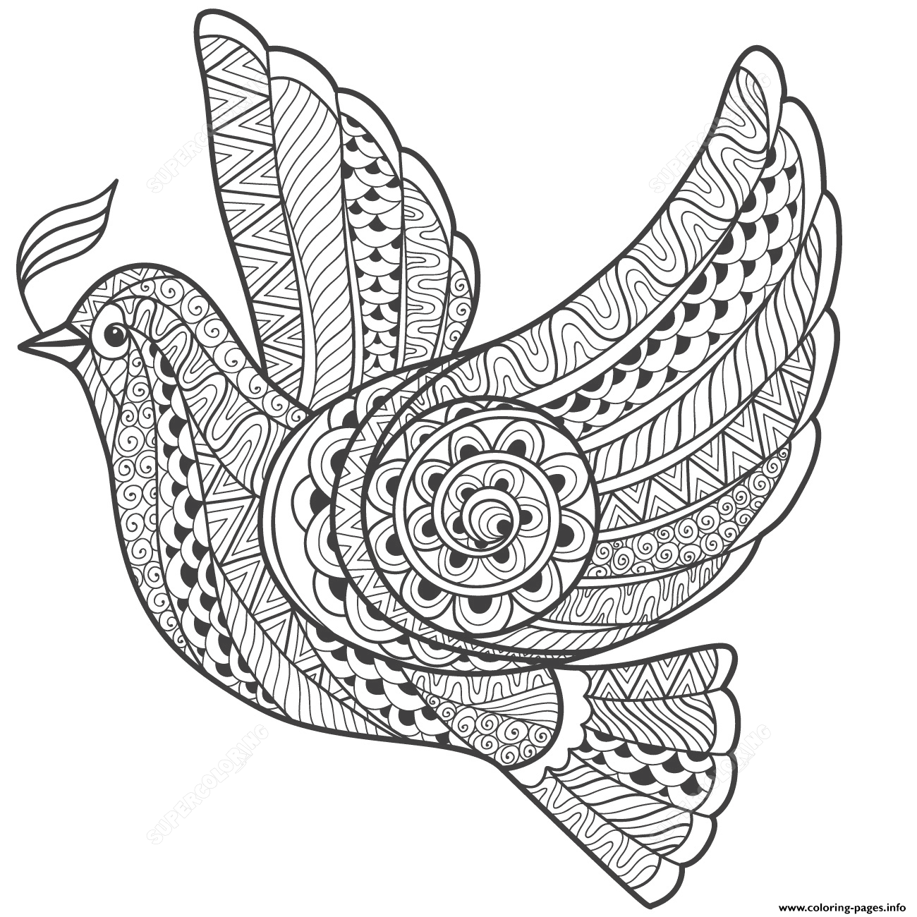 Zentangle Dove Peace Adults Coloring Pages Printable
