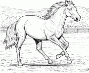 Printable horse  preschool9ad9 coloring pages