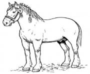 Printable english horse sdc4f coloring pages
