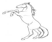 Printable rearing horse s8dcc coloring pages