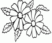 Printable jasmine flower sf27a coloring pages