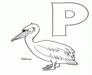 Printable pelican free alphabet s0a1f coloring pages