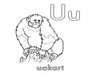 Printable uakari alphabet s free62ce coloring pages