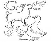 Printable coloring pages alphabet g for goat and goose08eb coloring pages