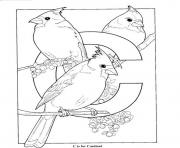 Printable free s alphabet c is for cardinal birds11aa coloring pages