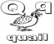 Printable quail alphabet s0053 coloring pages