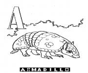 Printable alphabet s printable a for armadillob946 coloring pages