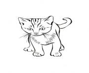 cat free animal sfb58 coloring pages