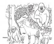 Printable african animal s free4a45 coloring pages