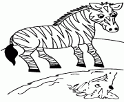 Printable animal preschool s zebra0bcb coloring pages
