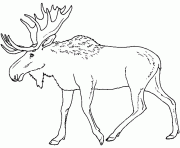 Printable free animal s moose9e5b coloring pages