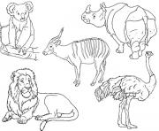 Printable preschool s zoo animalsd60f coloring pages