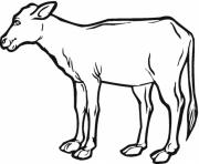 Printable realistic calf farm animal sf047 coloring pages