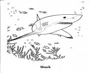Printable shark s sea animalse526 coloring pages