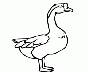 Printable swan goose printable animal s5ff1 coloring pages