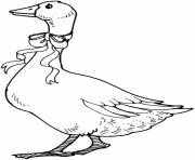 Printable goose with ribbon printable animal s5f3c coloring pages
