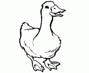 printable animal s goose2032