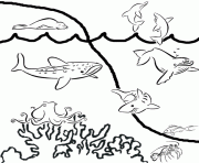Printable preschool s of sea animals3664 coloring pages