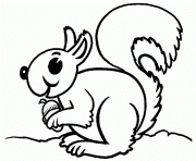 Printable squirrel s animald6a2 coloring pages