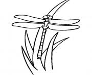 Printable free s of animals dragonfly17f5 coloring pages