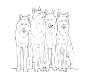 Printable animal wolf s printablee9c7 coloring pages