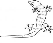 Printable animal gecko s1e03 coloring pages