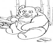 Printable panda preschool s zoo animals1069 coloring pages