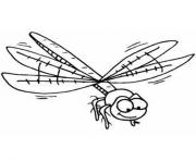 Printable free dragonfly s of animals57ef coloring pages