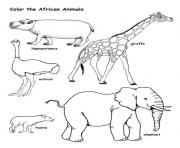 Printable wild african animal s32c1 coloring pages