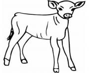 Printable little calf farm animal s8e23 coloring pages