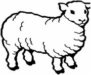 Printable animal sheep b01d coloring pages