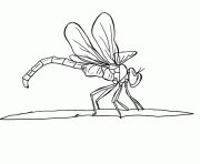 Printable realistic dragonfly animal fc25 coloring pages