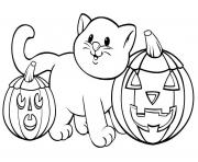 Printable pumpkin cat printable halloween coloring pages