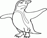 Printable chined up penguin 2486 coloring pages