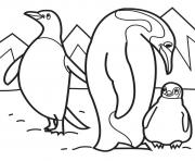 penguin family 73b8 coloring pages